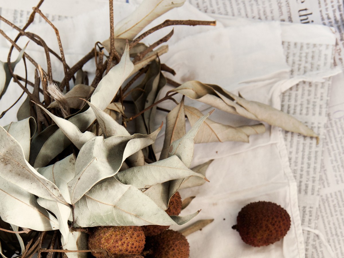 Kickstarter humblebrag lo-fi cronut, gochujang pork&nbsp;belly.
